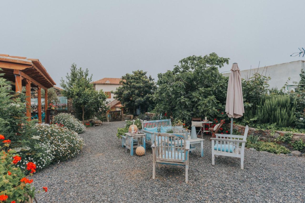 Casa Leandra Con Jacuzzi ξενώνας Costa Adeje  Εξωτερικό φωτογραφία